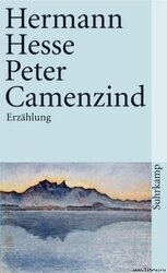 Peter Camenzind скачать