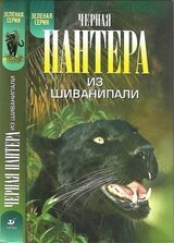 Черная пантера из Шиванипали