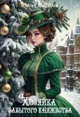 Хозяйка забытого княжества, или Новогодье в замке Дракона скачать