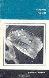 Капля