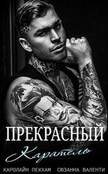 Прекрасный каратель скачать