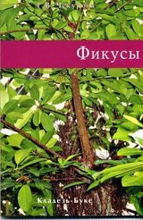 Фикусы