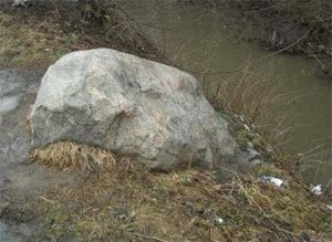 Рыбка в пруду скачать