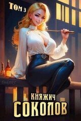 Княжич Соколов. Том 3 скачать