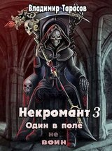 Некромант. Книга третья. Жизнь скачать