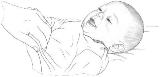 Мой маленький. От рождения до 5 лет скачать