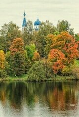 Дневник Рыжего Лиса скачать