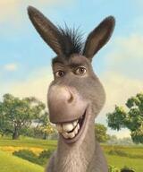 Осёл лисица и табачный кустик. Басня скачать