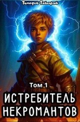 Истребитель некромантов. Том 1 скачать