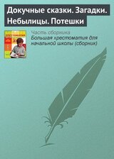 Докучные сказки. Загадки. Небылицы. Потешки