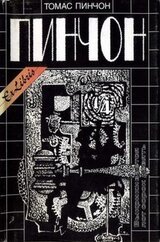Рассказы из авторского сборника «Выкрикивается лот сорок девять» скачать