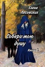 Собери мою душу. Книга 2 скачать