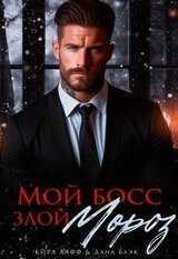 Мой босс - злой Мороз! скачать