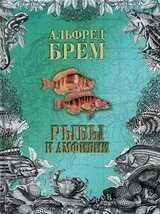 Жизнь животных. Рыбы и амфибии скачать
