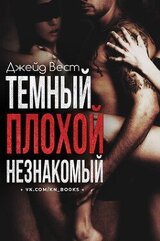 Темный. Плохой. Незнакомый скачать