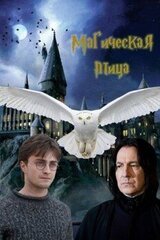 Магическая птица скачать