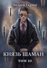 Князь шаман. Том 10 скачать