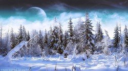 Зимняя охота в сибирской тайге скачать