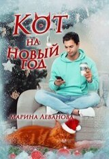 Кот на Новый год!