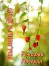 Усы, лапы и хвост скачать