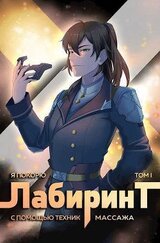 Я покорю Лабиринт с помощью техник массажа. Том 1 скачать