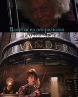 Палочка из остролиста
