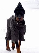 Антон и Степанида скачать