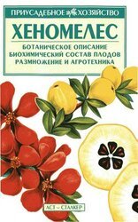 Хеномелес скачать