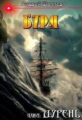 Дурень. Книга пятая. Буря скачать