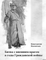 Битва с внешним врагом в годы Гражданской войны