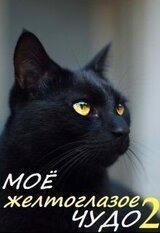 Моё желтоглазое чудо. Книга 2 скачать