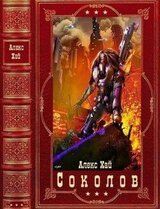 Соколов. Компиляция. Книги 1-7