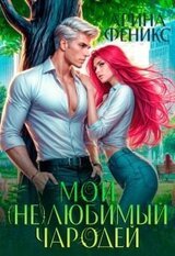 Мой любимый чародей скачать