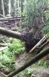 Триста пятидесятый год – перезагрузка скачать