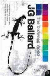 The Drowned World скачать