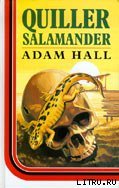 Quiller Salamander