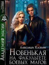Новенькая на факультете боевых магов скачать