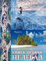 Эльф на плоской Земле. Книга 1. Нелегал. скачать