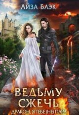 Ведьму сжечь, или Дракон, я тебе пара
