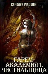Гарем-академия 1. Чистильщица